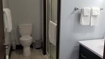 Een badkamer met toilet, douche en wastafel.