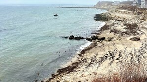 Une plage côtière avec un terrain rocheux et une vue dégagée sur la mer.
