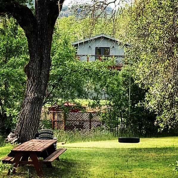 Un pati darrere amb taula de picnic, una tanca de fusta i una casa al fons.