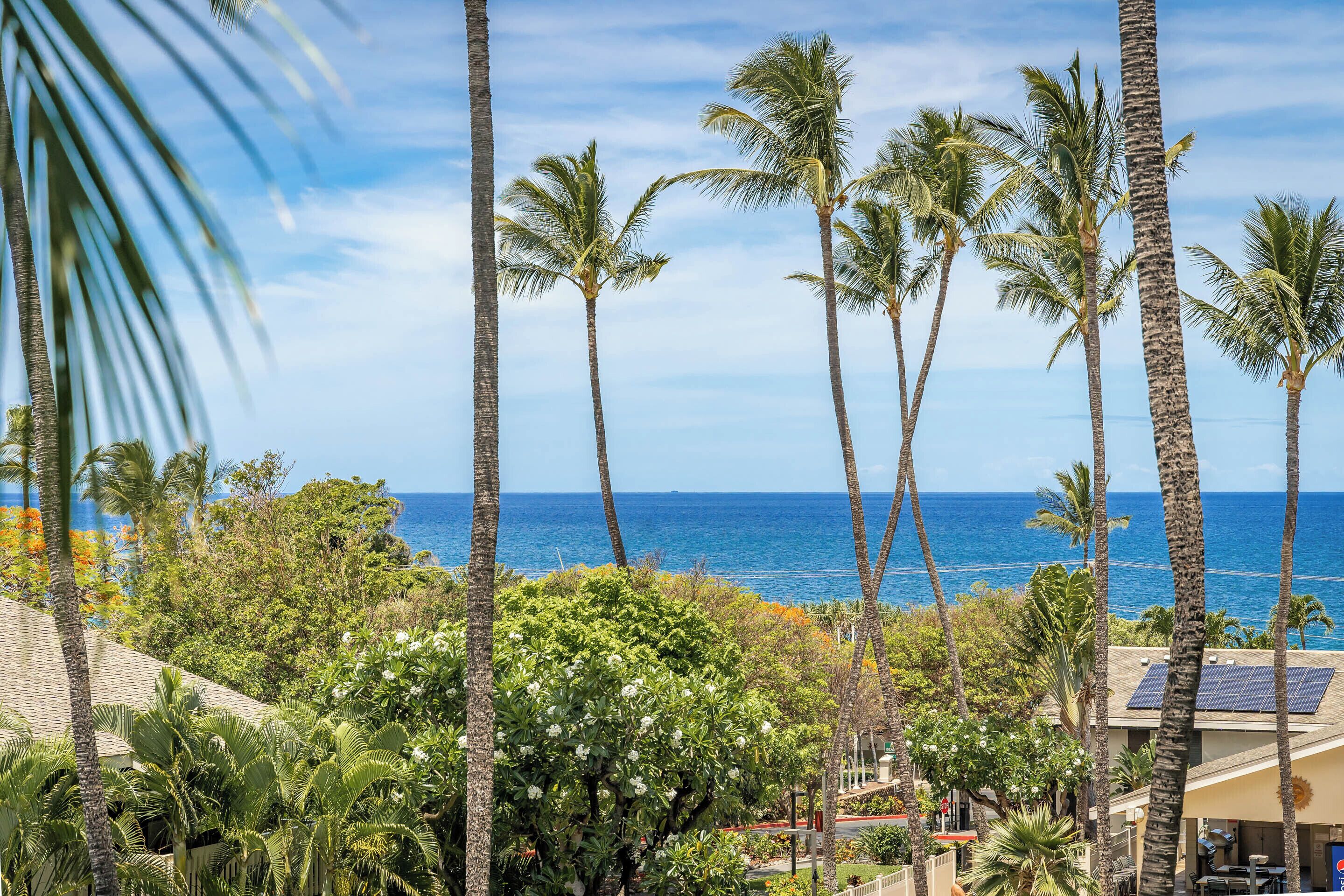 Condo (1 Bedroom) | Property amenity