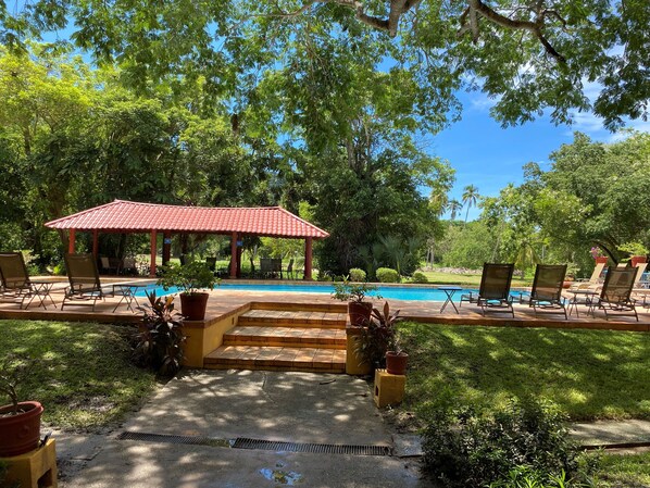 Zona de piscina con pabellón de techo rojo, sillas de descanso y plantas en macetas.