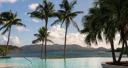 Ritz Carlton St Thomas 2BR