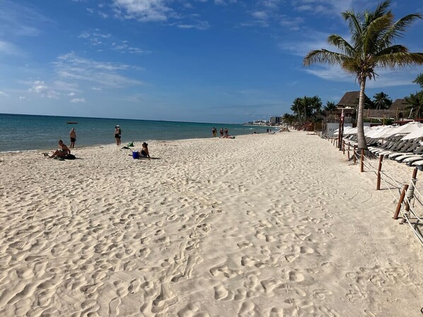 Playa en los alrededores 