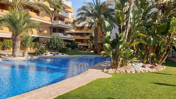 Une piscine entourée d’une végétation luxuriante et un immeuble à plusieurs étages doté de balcons.