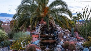 A garden with a small waterfall, various cacti, and a palm tree.