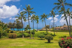 Property grounds - Manualoha 901 – Spacious 3BR Near Poipu Beach (Koloa)