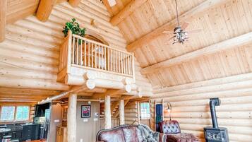 Smart TV, chimenea y libros