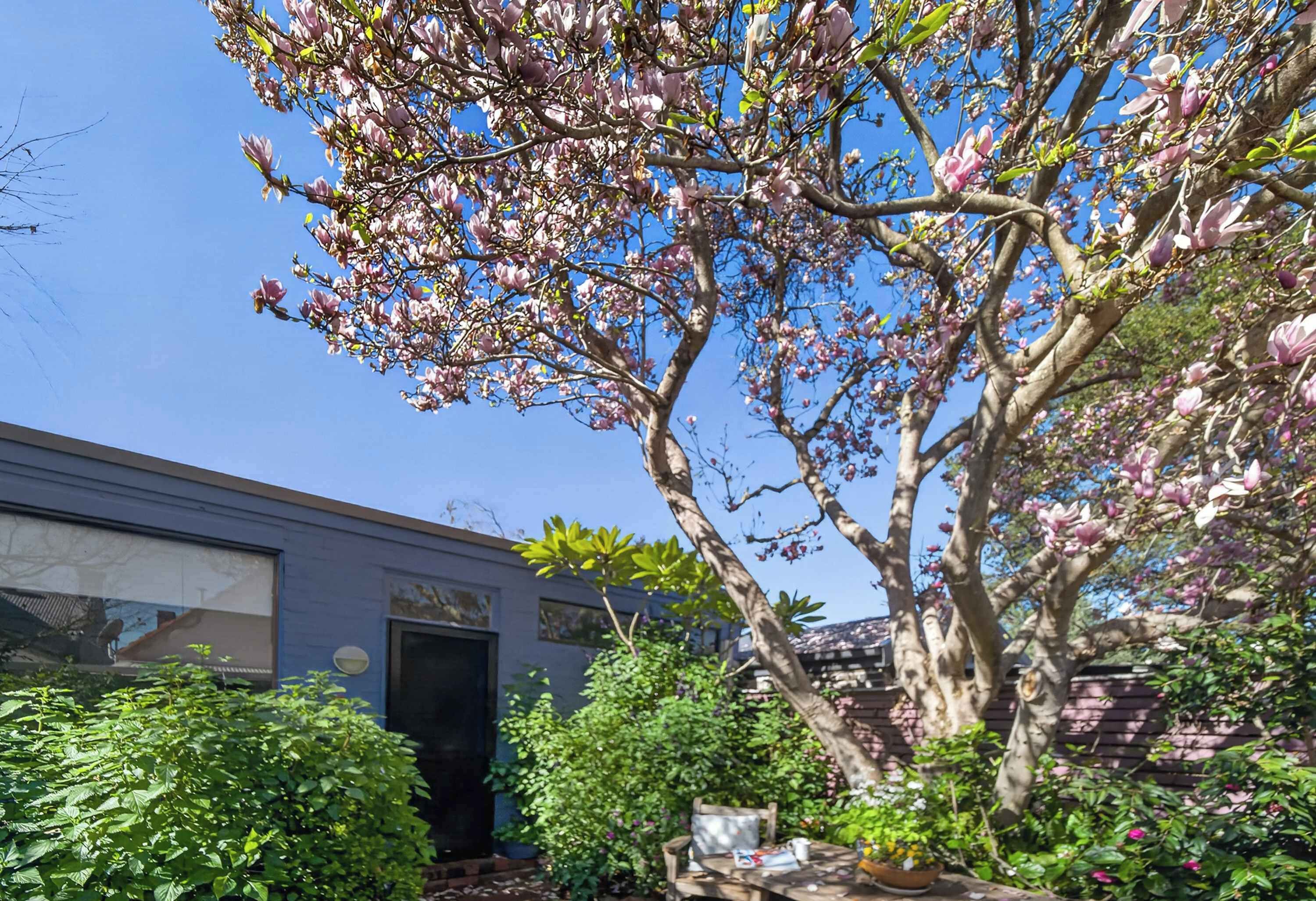A residential property with a large tree in the foreground, a house with a visible door, and a garden area.