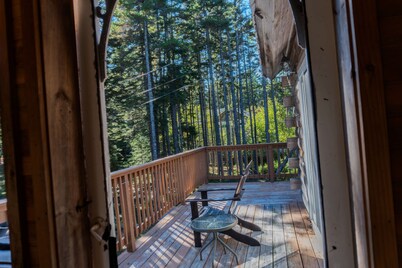 Deer Nest @ Acadia National Park