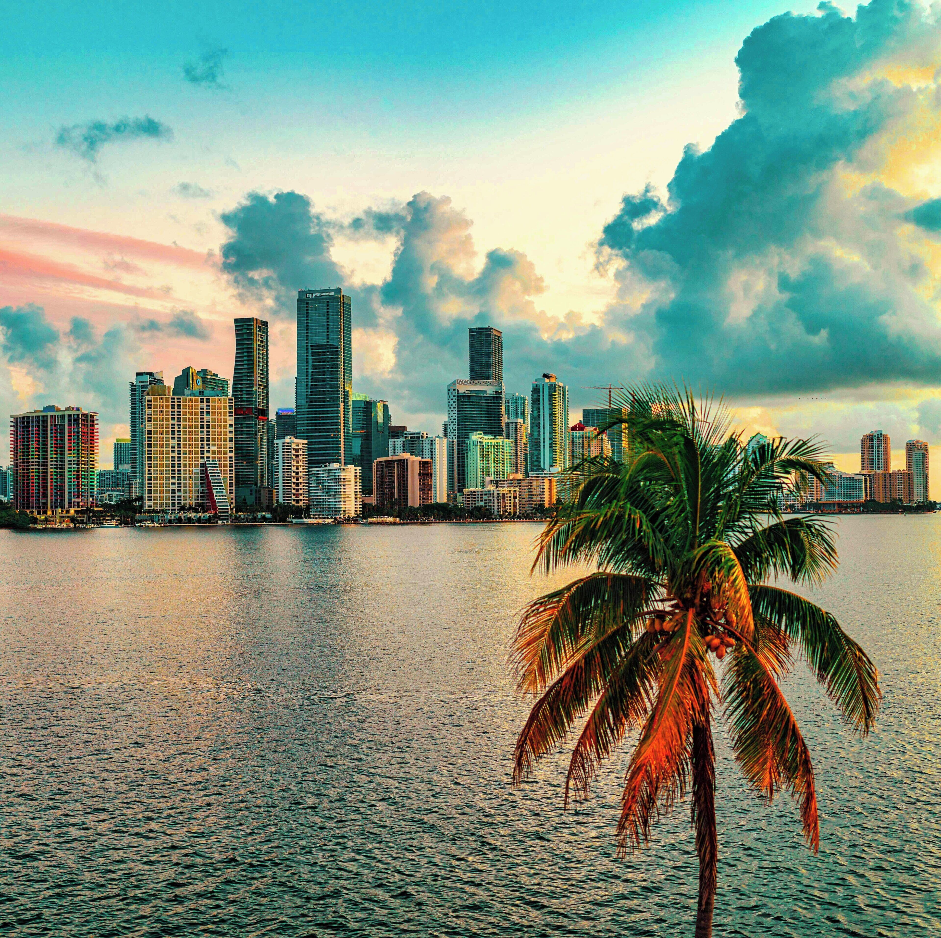 Foto - Atwell Suites Miami Brickell by IHG