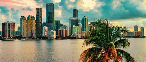 A city skyline with high-rise buildings and a palm tree in the foreground.