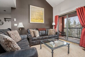 テレビ、暖炉、書庫