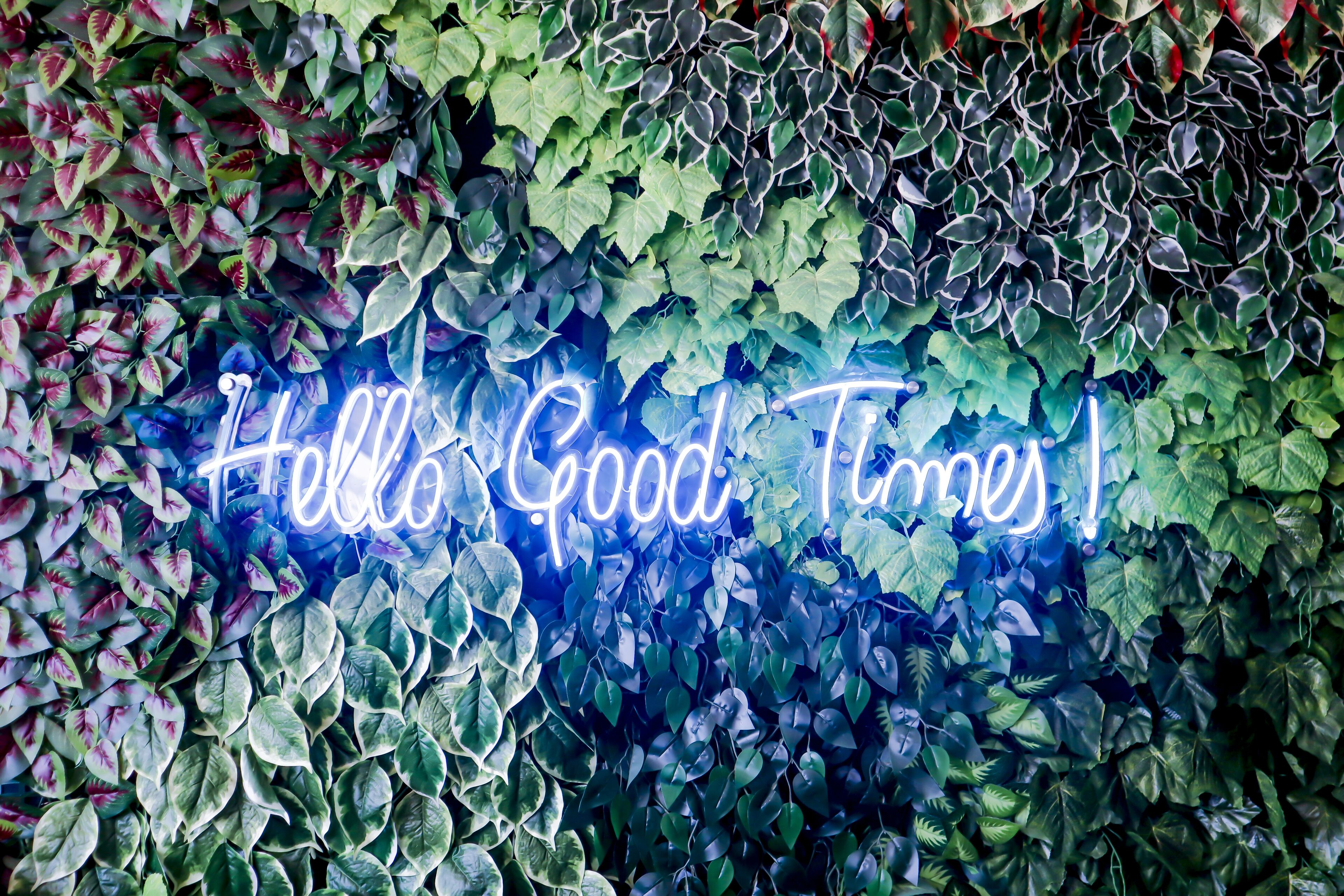 A neon sign with the text "Hello Good Times" against a backdrop of green foliage.