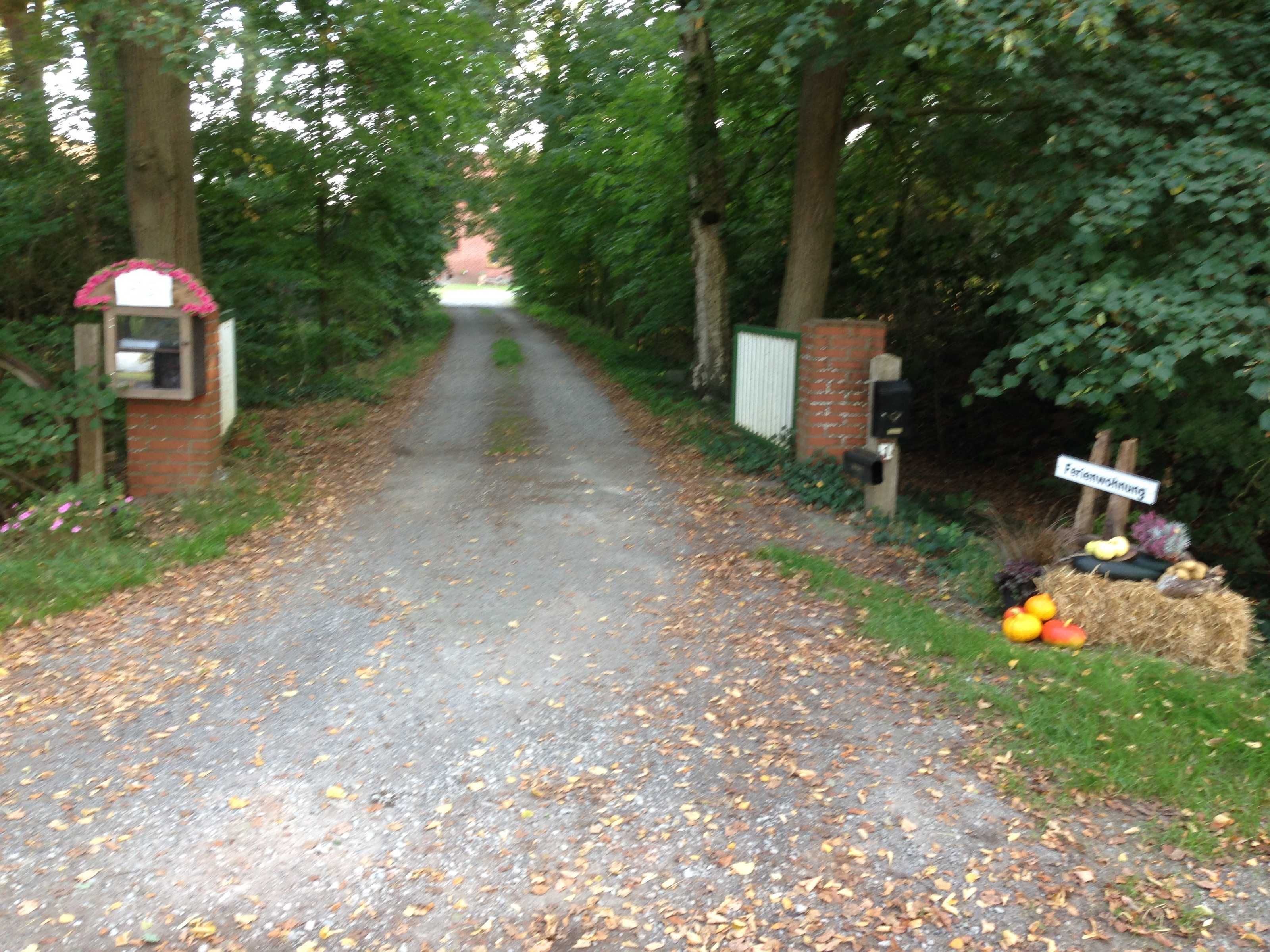 Een landweg omzoomd door bomen en een bord met groenten en fruit.