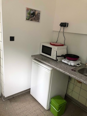 Kühlschrank und Mikrowelle 