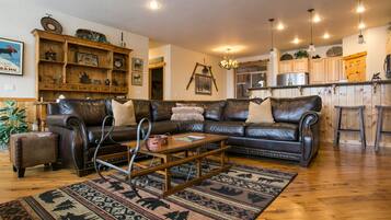 Smart TV, lareira, livros, aparelho de som