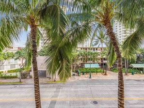 A street lined with palm trees and a building in the background.