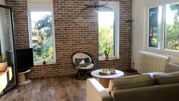 Télévision, cheminée