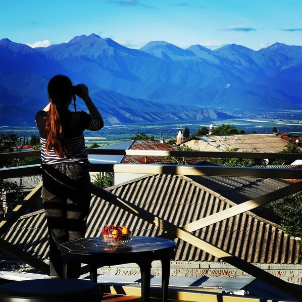 Property grounds - Qilimcha's Guesthouse (Telavi)