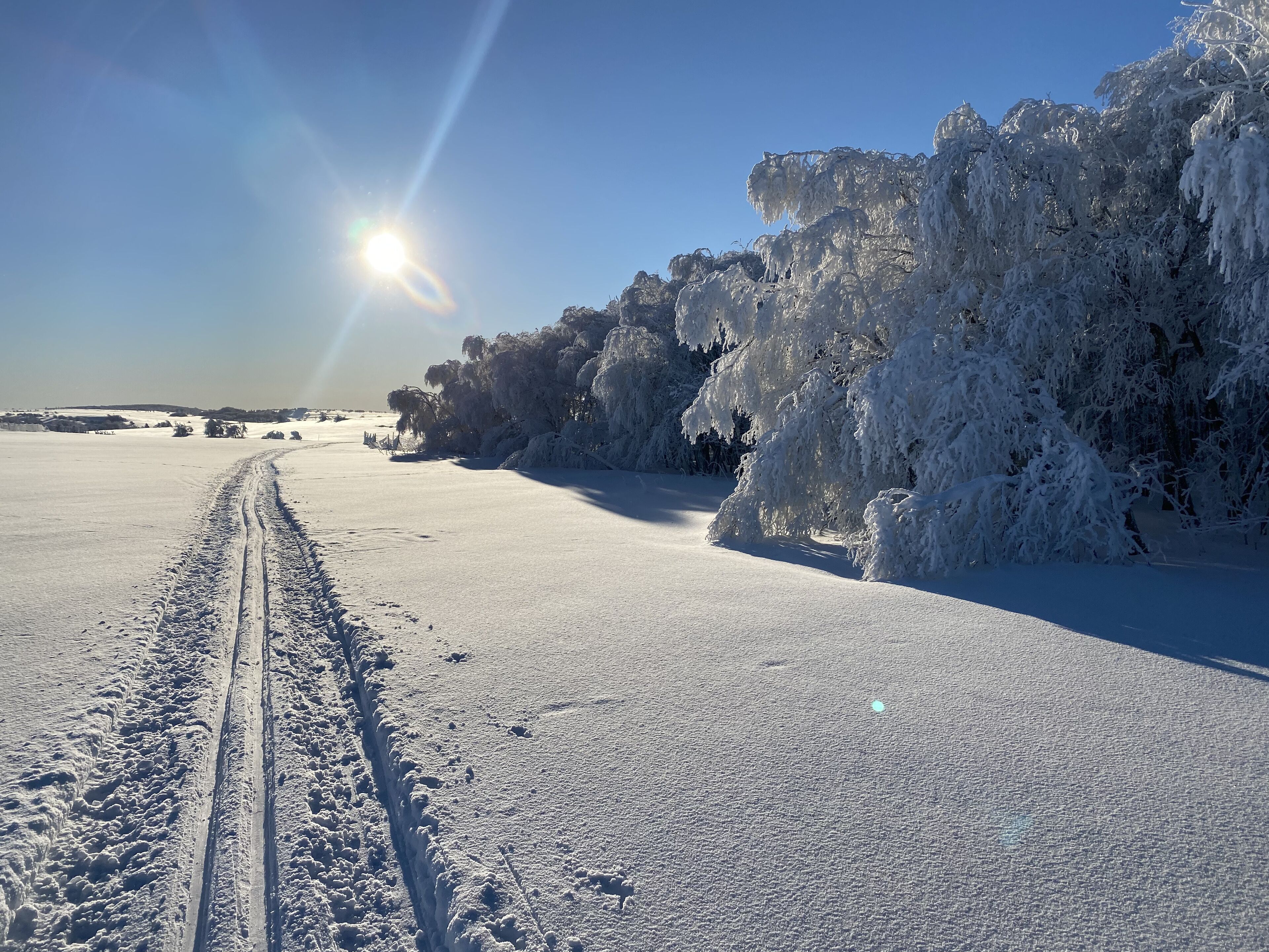 Snow and ski sports