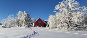 Apartment Wildrose *****