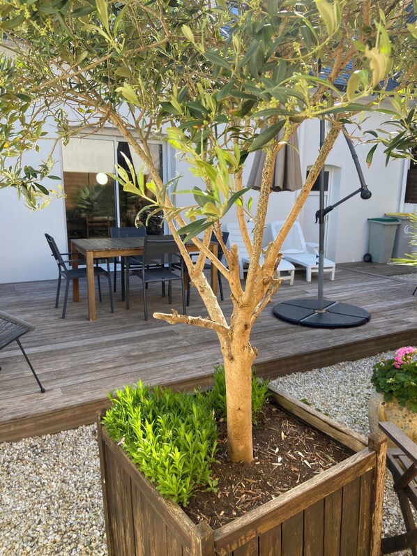 A wooden deck with a dining table and chairs, surrounded by a garden with a tree and various plants.