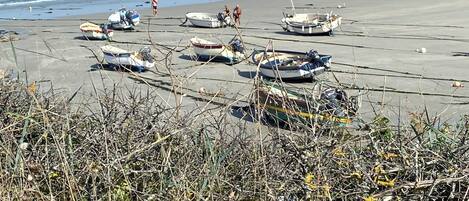 Plage à proximité