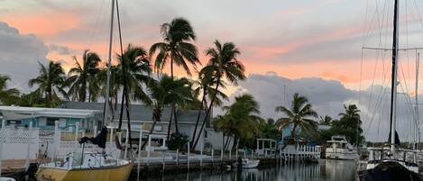 A marina with several boats docked, palm trees, and a building with a sign.