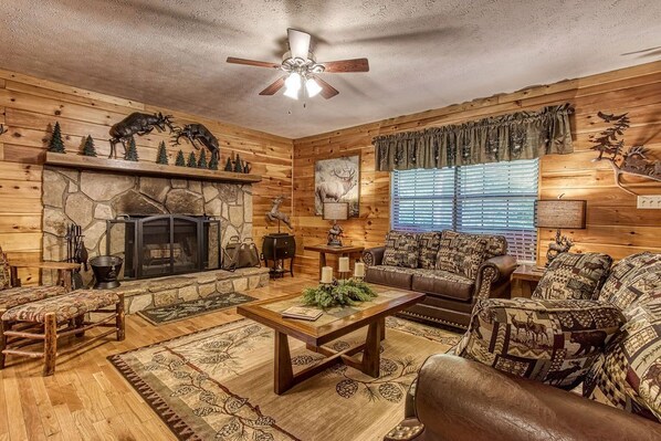 Smart TV, fireplace, books