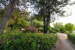 Áreas de la propiedad