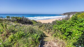 A coastal pathway leading to a beach with dense greenery on both sides.