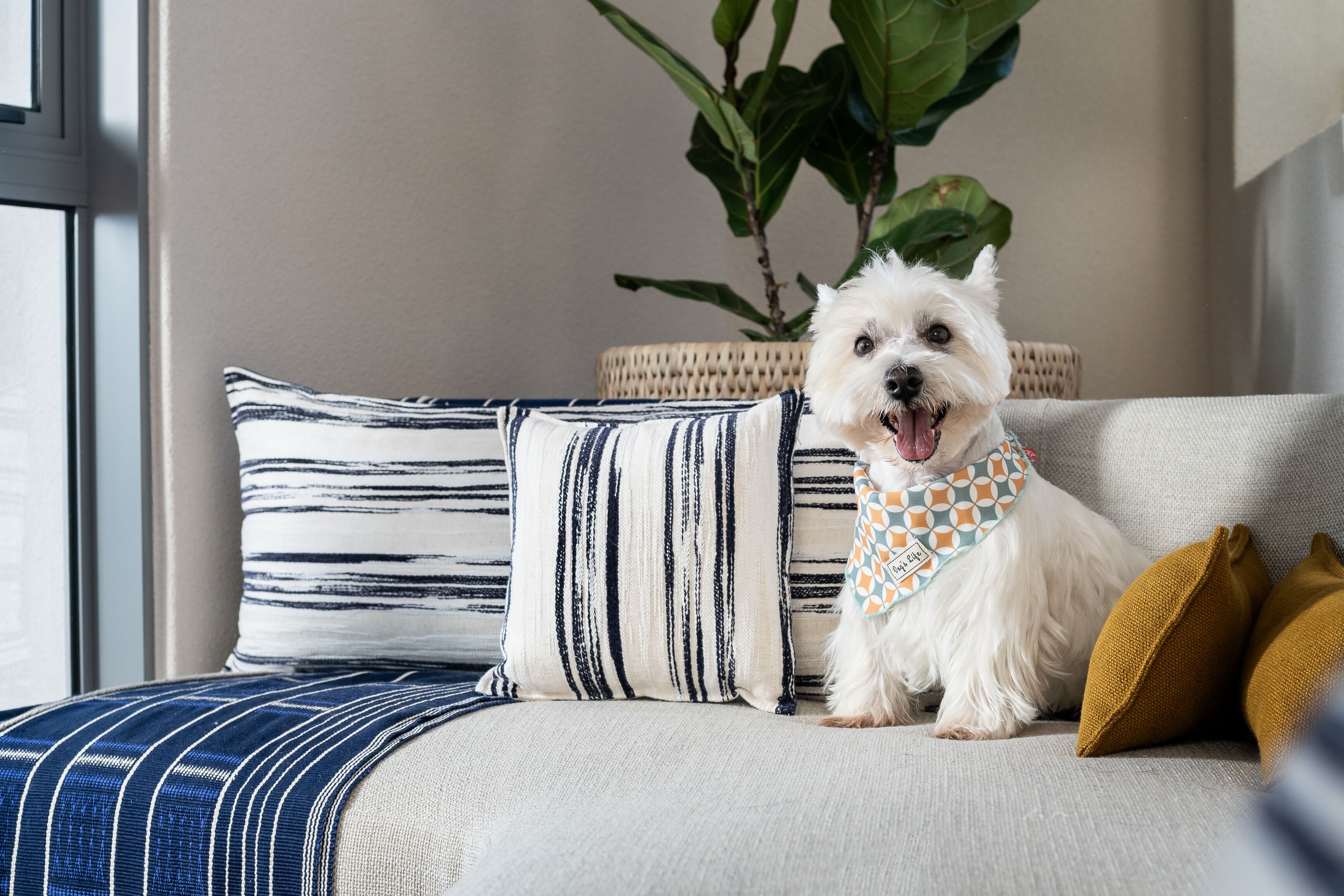 Photo - Home Suite Hotels Sea Point