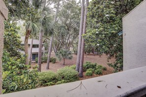 Imagen sin descripción, 3 de 39, botón