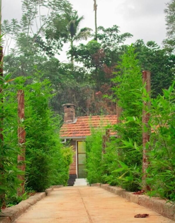 Exterior - Celio Jardine Lavington (Nairobi)