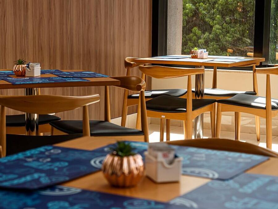 Un comedor moderno con mesas y sillas de madera, individuales azules y pequeñas macetas.