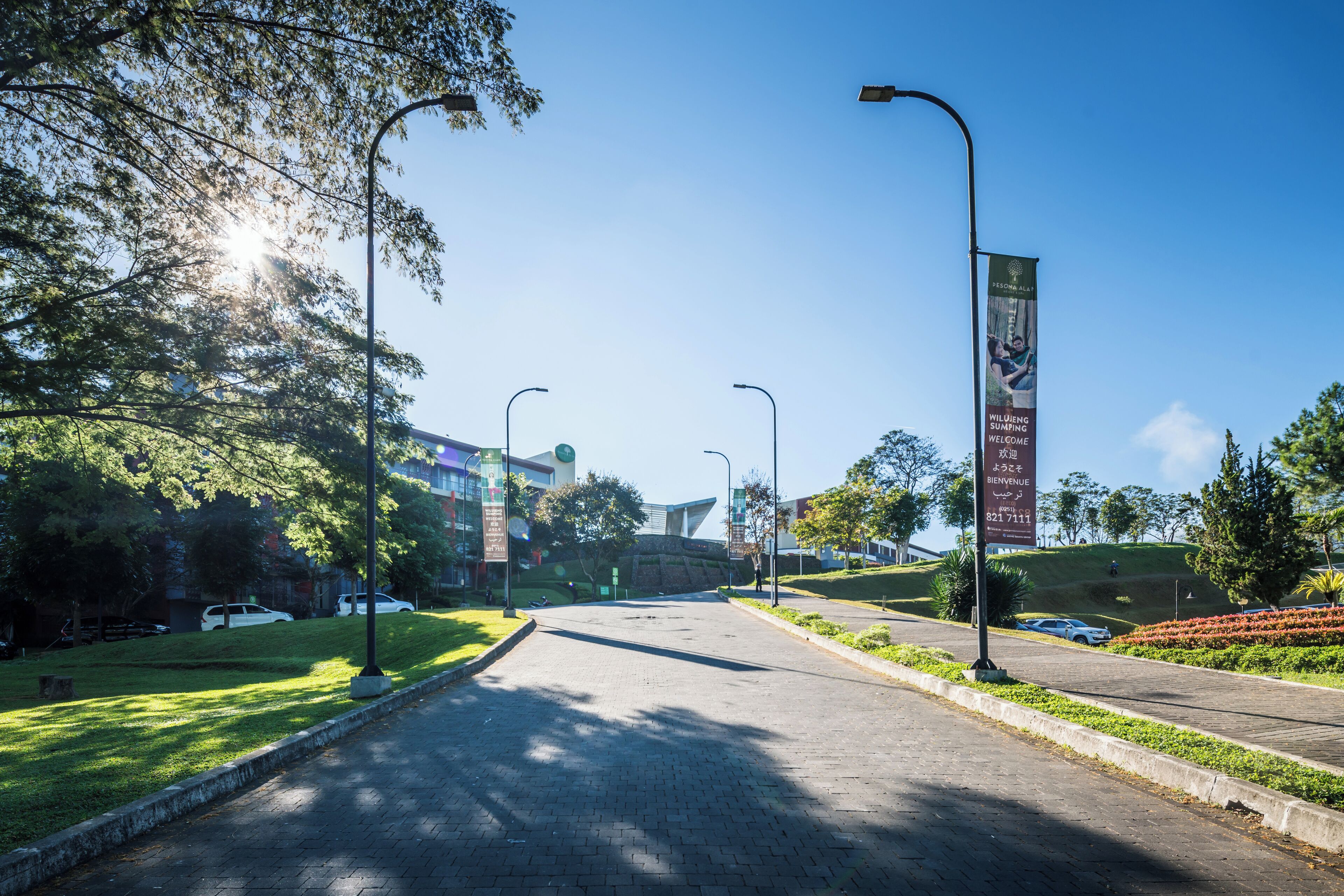 A paved road with street lamps, a grassy area, and a banner with text.