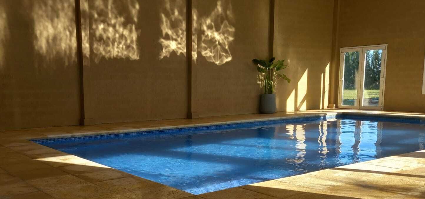 Ein Hallenbad mit klarem, blauem Wasser, einer Kübelpflanze und Blick auf eine grüne Landschaft durch eine Glastür.