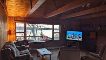 Smart TV, fireplace, books