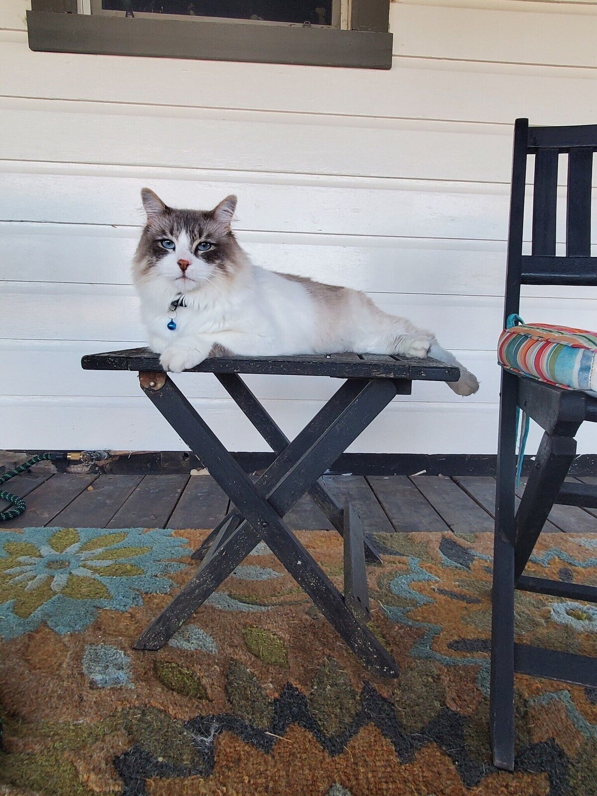 Imagen de perfil del propietario o de la propietaria