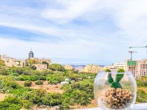 Vista dalla struttura