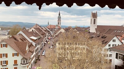 Herziges Apartment Mitten im Schoenen Thurgau