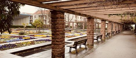 Apartment | Property grounds