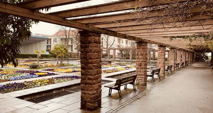 Superior-apartment Near Stuttgart, Garden & Sauna