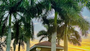 A building with a white facade and red-tiled roof, surrounded by tall palm trees. - Location, Location, Location (Fort Myers)