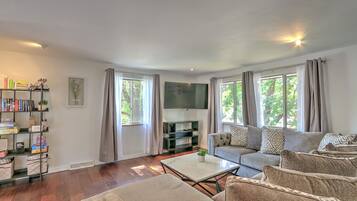 Smart TV, fireplace, books