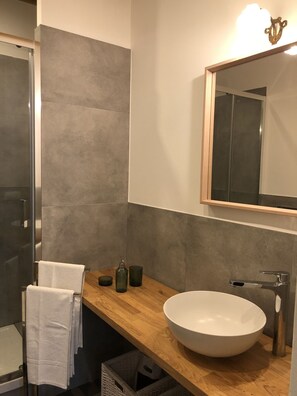Shower, hair dryer, bidet, towels