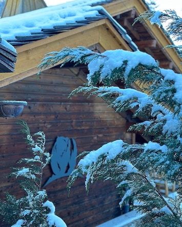 Vue d'ensemble du Chalet