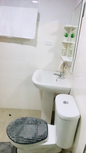 Shower, towels, toilet paper