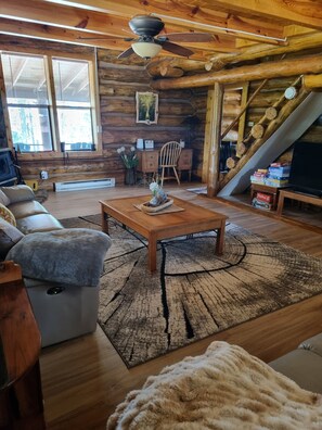 TV, fireplace, DVD player, video library