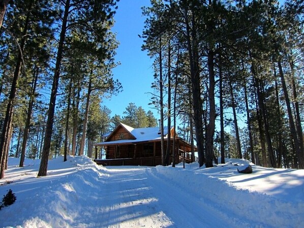 Une cabane entourée de grands pins dans une forêt enneigée.